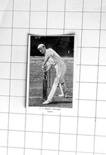 1903 P. F. Warner, Middlesex Cricket Captain. picture