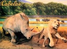 Postcard Cabela's Outdoor Store, Dundee, Michigan - African Rhinoceros picture
