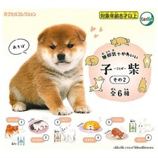 Mujakide kawaii koshiba Shiba Inu Mascot Capsule Toy 6 Types Full Comp Set Gacha picture