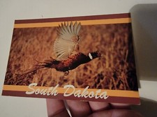 Vintage Postcard Post Card VTG Photograph South Dakota Ring Neck Pheasant picture
