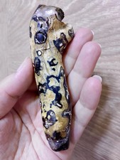Genuine Black &gold Coral Branch 50gr Rare Natural Specimen &jewelry yusr Baladi picture