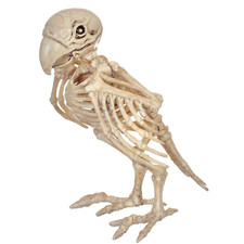 Skeleton Parrot Prop - Joe-Anne Company Intl. Inc. picture