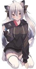 Anime girls jun animal ears nintendo switch portrait Custom Gaming 11x17 Poster picture