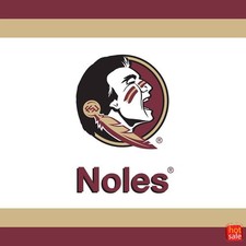 20ct Florida State Graduation Napkins picture
