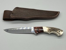 Colt Medium Hunter Knife Stag & Mahogany Handle Mirror Polished Blade picture