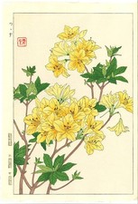 Kawarazaki Shodo Azalea Japanese Woodblock Print Tsutsuji Echizen Washi Paper picture