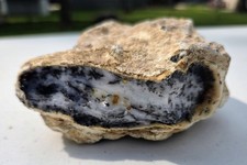 Large 1 lb 11.7 oz Natural Dendritic Common Opal Rough in Matrix – Old Rockhound picture