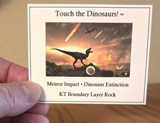 Dinosaur Extinction Mini-Museum Display. KT Boundary Layer. Authenticity Card picture