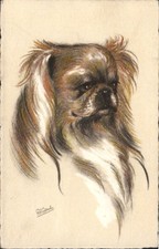 VTG 1930s ART PC PEKINGNESE DOG A/S R F GAULIN SWISS STEHLI EDITION picture