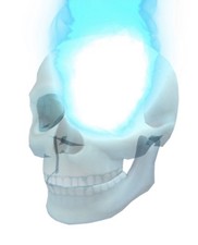 Blue inferno skull limited Roblox picture