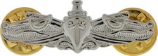 MINI Naval Surface WARFARE Specialist ESWS Badge Hat Silver Pin Enlisted US NAVY picture