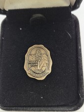 VINTAGE SIERRA CLUB LIFE MEMBER LAPEL PIN BRONZE picture