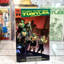 Teenage Mutant Ninja Turtles: Reborn Vol. 8 - Damage Done TPB (2024) picture