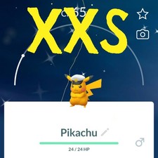 Shiny XXS Captain Pikachu - Registered Trade picture