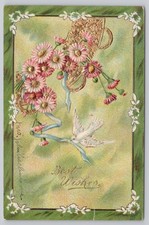 1908 Best Wishes Embossed Postcard Pink Daisies Dove 