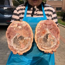 2pcs 6.93LB Natural Petrified Wood Crystal Fossil Slice Crystal Specimen 6168 picture