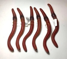 8.5