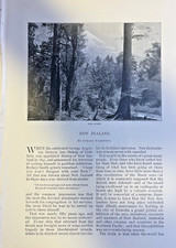1892 New Zealand Mount Egmont Massacre Hill Maori Natives illustrated picture