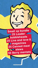 Fallout 76 PS4/PS5 Small XP bundle  picture