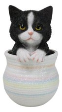 Lifelike Black And White Tuxedo Cat In Pastel Artsy Pot With Glass Eyes Figurine picture