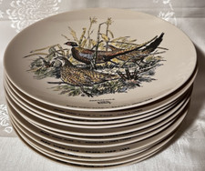 Vintage Rare Lot Of 12 Lynn Bogue Hunt Game Birds Dinner Plates In Color 1950's picture