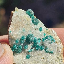 ☆Rare Historic Bright Green Dioptase With Apophyllite Christmas Mine Arizona☆ picture
