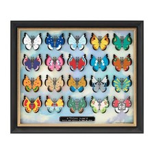 Pokémon Center Vivillon Pins Collection–Full Set of 20–Limited Edition–Japan/New picture