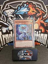 Yu Gi Oh - DOOD-EN019 Mariamne Paradox, the True Dracophoenix Knight - Common picture