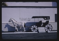 Photo:Colonial Motel statue, Sunny Isles, A-1A, North Miami Beach, Florida picture