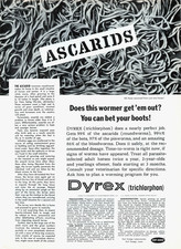 Dyrex by Fort Dodge Controls Ascarids (Common Round Worms) 1963 Vtg Mag Print Ad picture