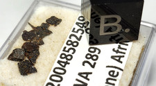 NWA 289 Meteorite Fragments Provisional TKW 450 Grams picture
