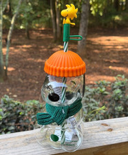 NEW Fast ship！ 2026 The Snoopy x Starbucks Glass Cold Cup HOT picture