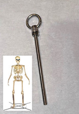 12 Ft Skeleton HD STAINLESS Replacement Loop Screw Eye Bolt Part T Skelly picture