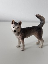 Schleich Siberian Husky Female - 16372 - RARE RETIRED picture