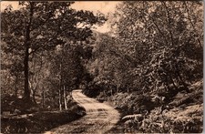 1900s The Trossachs Scotland 