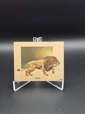 TOPPS (1951) ANIMALS OF THE WORLD - #160 Lion picture