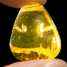 Clear yellow orange Natural Dominican Amber teardrop Polished Stone 20 mm picture