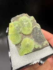 Radiating Green Wavellite Disc Eyes (Thumbnail) - Mauldin Mountain, Arkansas picture