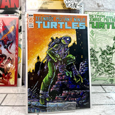 Teenage Mutant Ninja Turtles #127 Kevin Eastman Variant *NM Combined Shipping picture