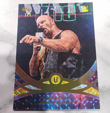 2026 Topps WWE Universe Peak Performance Stone Cold Steve Austin  1/1 One Of One picture