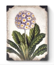 Sid Dickens First Bloom T460 Memory Block Tile Retired NEW picture
