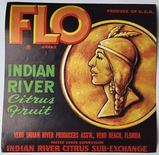 FLO BRAND INDIAN RIVER CITRUS FRUIT CRATE LABEL VERO BEACH FL INDIAN MAIDEN * picture