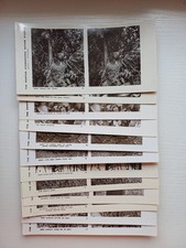 Antique Kearton Stereoscopic Slides (Series 2) Nature Studies Complete Set 1900s picture