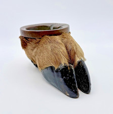 Taxidermy Deer Hoof Ashtray Rustic Hunting Lodge Cabin Decor 1950s Vintage picture