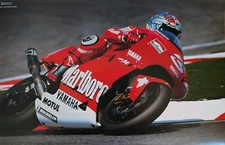 Moto GP and World Superbike 13 Hi Gloss Large Photos 11 x 17 From 2003 Plus More picture