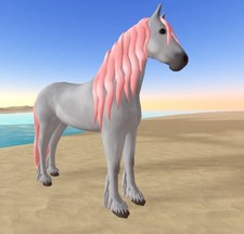 Wild Horse Islands ๐ธ ND Grey Fri Friesian ๐ธ picture