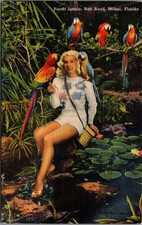 Vintage Parrot Jungle Miami FL Linen Postcard Woman Macaws Tichnor Ebel picture