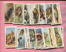 1939 JOHN PLAYER & SONS ANIMALS OF THE COUNTRYSIDE 50 TOBACCO CARD SET picture