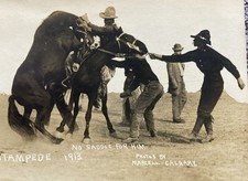 Winnipeg Stampede No Saddle For Him 1913 RPPC Postcard picture