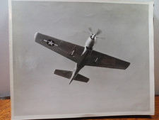 WWII Ear 8 x 10